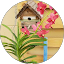 Lynn Ingersoll Avatar